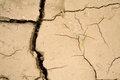 Free Life Prevails - Global Warming Royalty Free Stock Photos - 2435318