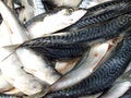 Free Fish Market Royalty Free Stock Photography - 2437747