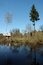 Free Two Trees Near Lake Royalty Free Stock Photo - 2430055