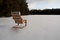 Free Chair In Waiting Royalty Free Stock Images - 2433709