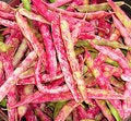 Free Beans Stock Photography - 2441642
