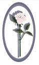 Free Designer Pink Rose Stock Photos - 2442123