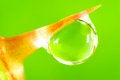 Free Water  Drop Stock Image - 2446941