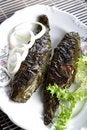 Free Fish In The Leaves And Onion Royalty Free Stock Photos - 2447938