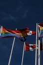 Free Canadian Pride Flags Stock Photo - 2449350