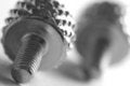Free Screw Royalty Free Stock Image - 2454516