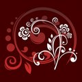Free Brown Curl Royalty Free Stock Photography - 2456947