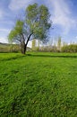 Free Green Field Stock Photo - 2458000