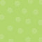 Free Green Daisy Stock Image - 2456861