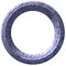 Free Circular Picture Frame Stock Images - 2459264
