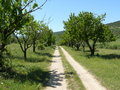 Free Road Leaving In A Distance Stock Photo - 2471360