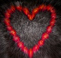Free Red Heart,generated Explosion Stock Photo - 2471730