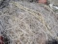 Free Fishing Net Texture Royalty Free Stock Image - 2475586
