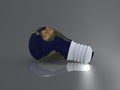 Free Bulb World Stock Image - 2487321
