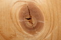 Free Knot In A Board. Royalty Free Stock Images - 2488149