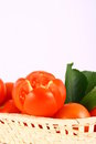 Free Tomato Stock Image - 2489681
