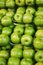 Free Apple Stock Images - 2480244