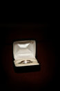 Free Groom S Ring Royalty Free Stock Images - 2491599