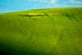 Free Green Hill Royalty Free Stock Image - 2491916