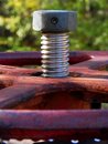 Free Screw Royalty Free Stock Photography - 2493787