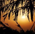 Free Sunset Royalty Free Stock Photos - 2495418
