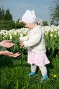 Free Baby Girl Stock Photography - 2495532