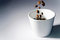Free Flying Coffee Beans Royalty Free Stock Images - 2492309
