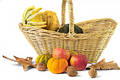 Free Fall Cornucopia Royalty Free Stock Photo - 250555
