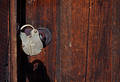 Free Locked Door - Horizontal Royalty Free Stock Image - 250566