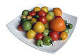Free Tomatoes Stock Photography - 251182