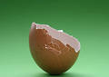 Free Broken Eggshell Royalty Free Stock Photos - 254588