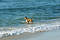 Free Going For A Swim Royalty Free Stock Photography - 252237