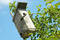 Free Bird House Royalty Free Stock Photo - 252885