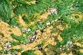 Free Sea Stones Royalty Free Stock Photography - 2501857