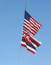 Free Two USA Flags Stock Images - 2506224