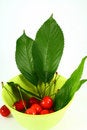 Free Cherry Royalty Free Stock Images - 2507689