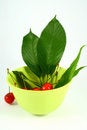 Free Cherry Stock Photos - 2507703