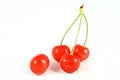 Free Cherry Stock Photos - 2507733