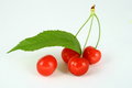 Free Cherry Stock Image - 2507741