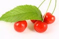 Free Cherry Stock Images - 2507764