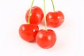 Free Cherry Stock Images - 2507804