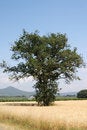 Free Tuscany View Stock Photography - 2508202