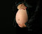 Free Pregnant Woman Holding Her Stock Photo - 2504660