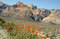 Free Red Rock Canyon Spring Flowers Royalty Free Stock Photography - 2515977
