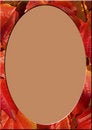 Free Vineyard-frame Royalty Free Stock Images - 2521029