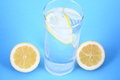 Free Water Citron Stock Photo - 2523520