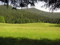 Free Meadow Stock Image - 2525421