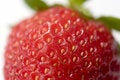 Free Ripe Juicy Strawberry Stock Photo - 2529400