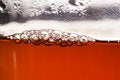 Free Clear Tea Royalty Free Stock Photo - 2529495