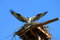 Free An Osprey Landing On Nest Royalty Free Stock Images - 2522249